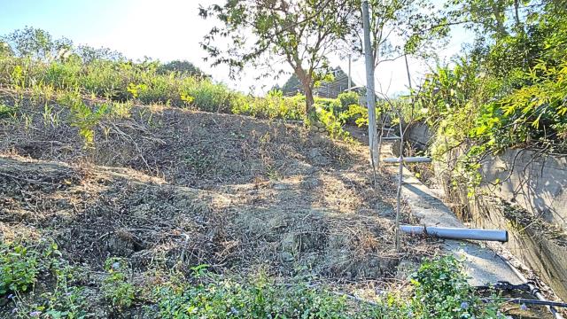 新竹北埔農地_山坡地-8