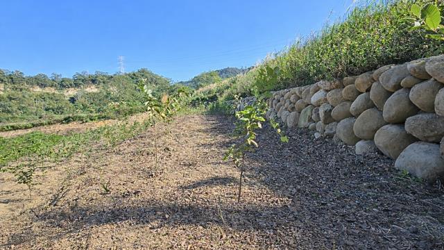新竹北埔農地_山坡地-9