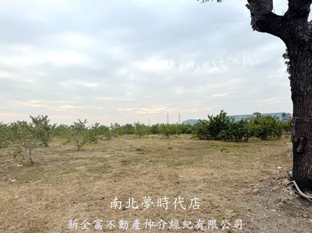 高雄湖內農地_養殖地-2