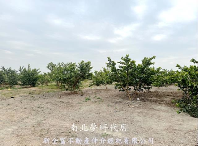 高雄湖內農地_養殖地-3