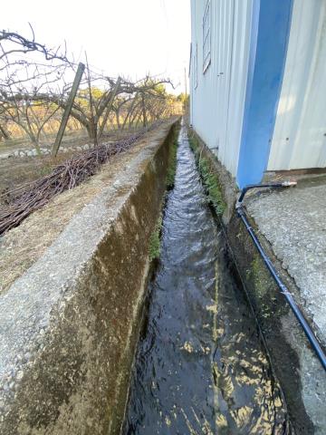 台中東勢農地_休閒地-7