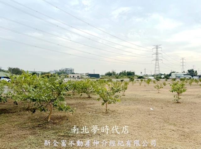 高雄湖內農地-2