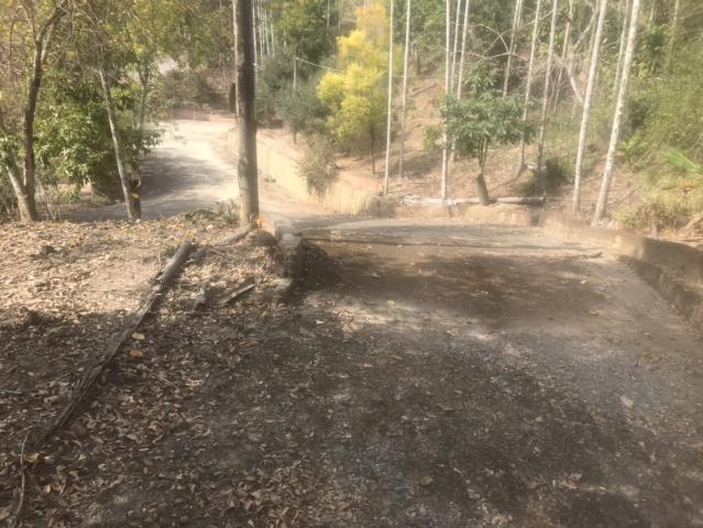 鹿谷農地_山坡地-10