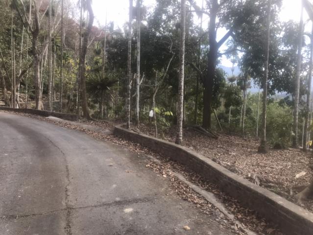 鹿谷農地_山坡地-11