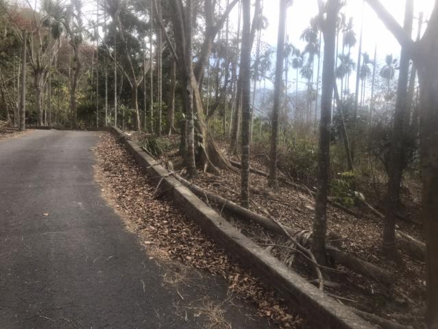 鹿谷農地_山坡地-12