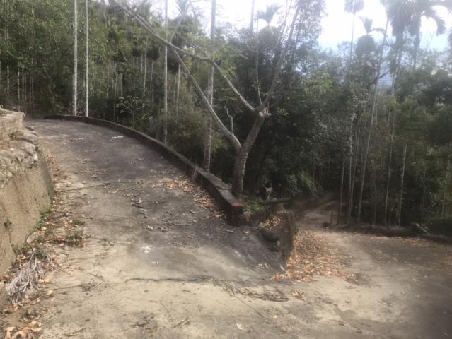 鹿谷農地_山坡地-2