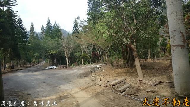 鹿谷農地_山坡地-4