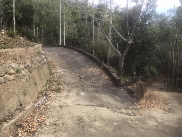 鹿谷農地_山坡地-7