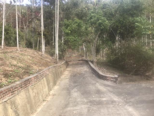 鹿谷農地_山坡地-8