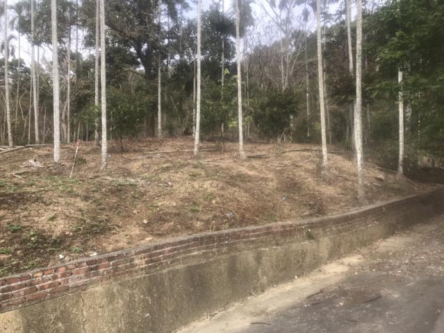 鹿谷農地_山坡地-9