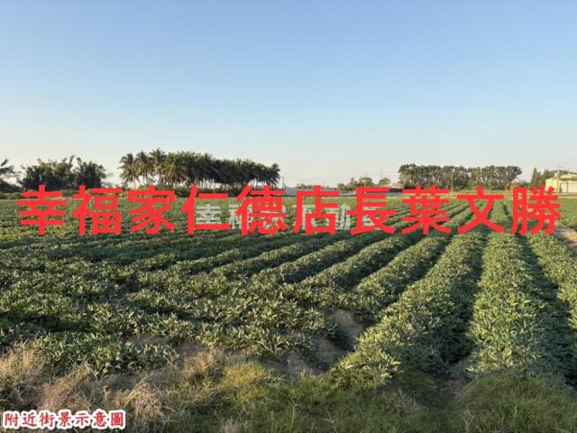 台南農地-6