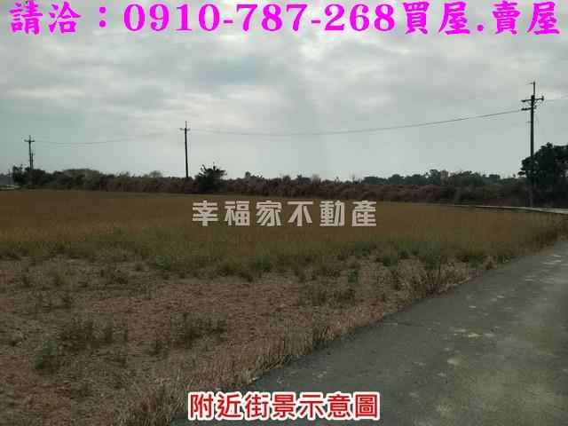 台南官田農地-2