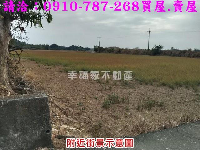 台南官田農地-5