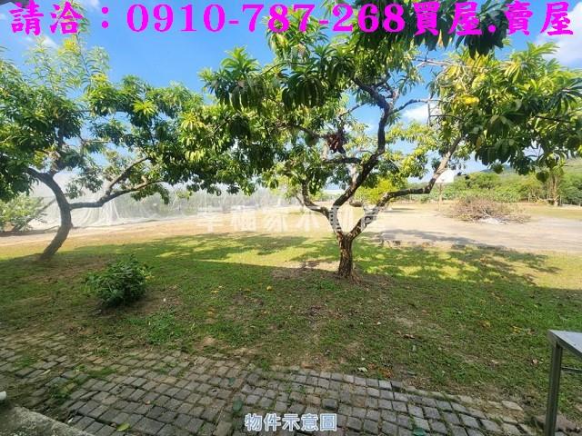 台南楠西農地-13