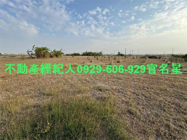 嘉義鹿草工業地-1