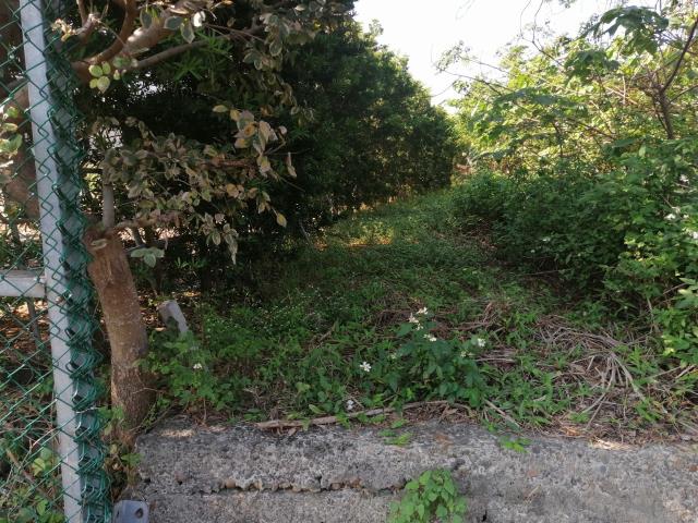 桃園中壢農地-2