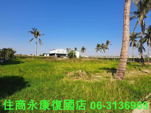 台南西港農地-6
