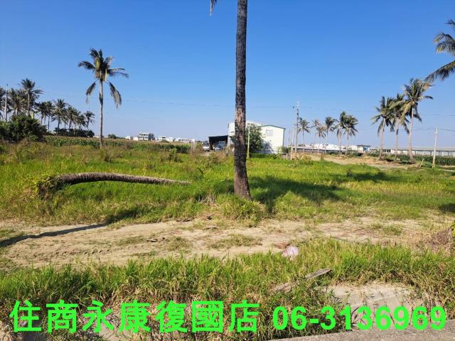 台南西港農地-7