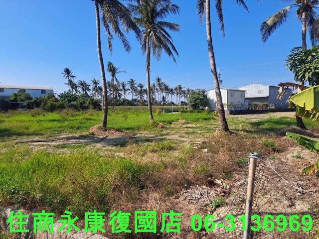 台南西港農地-8