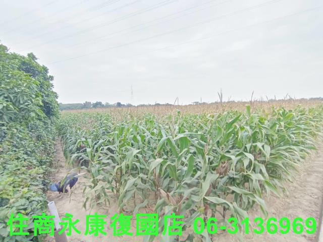 永康農地-7