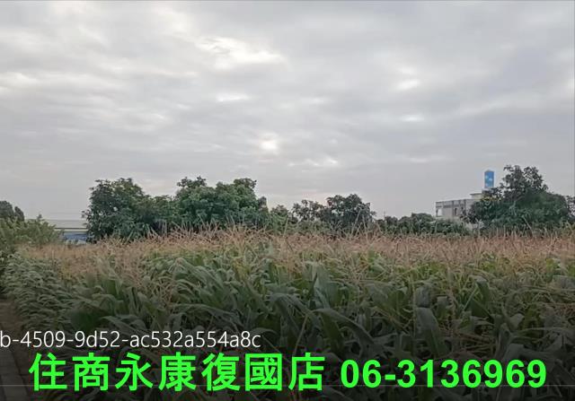 永康農地-8