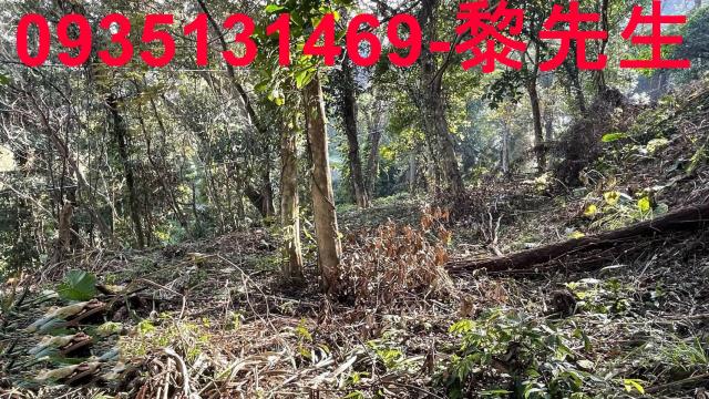 竹東農地_林地-10