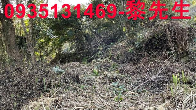 竹東農地_林地-11