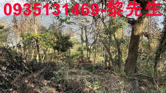 竹東農地_林地-12