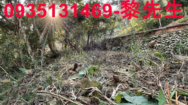 竹東農地_林地-13