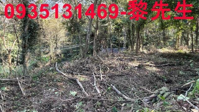 竹東農地_林地-14