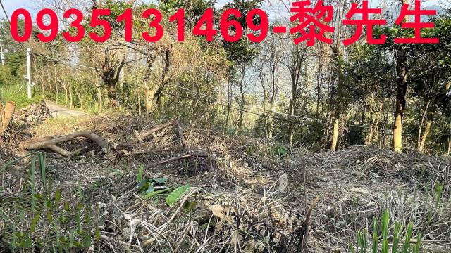 竹東農地_林地-15