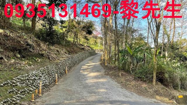 竹東農地_林地-2