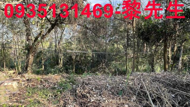 竹東農地_林地-7