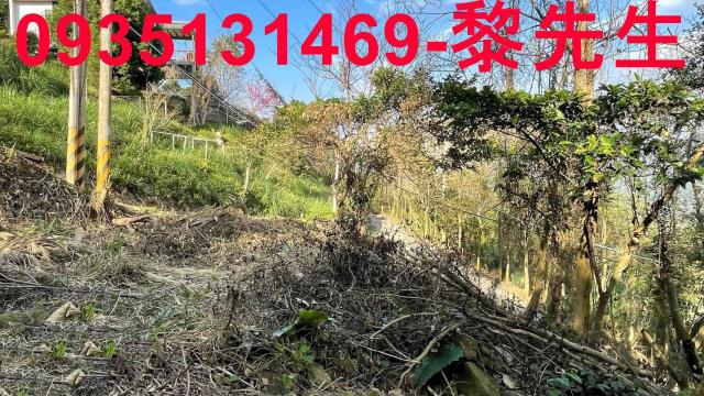 竹東農地_林地-1