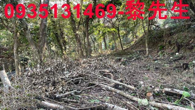 竹東農地_林地-8