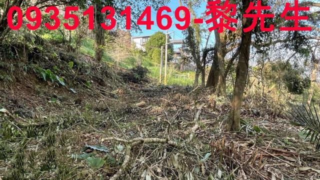 竹東農地_林地-9