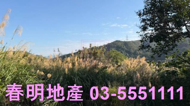新埔農地-9