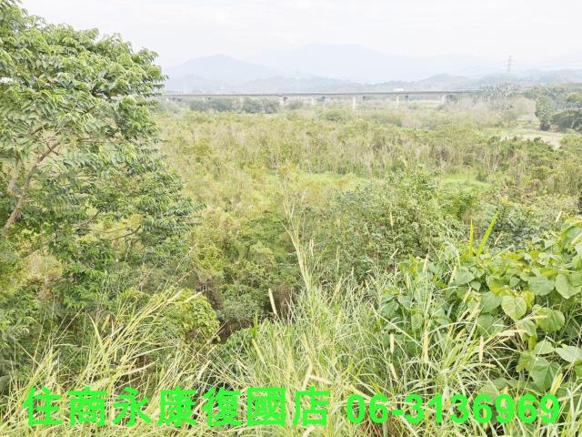 東山農地_建地_林地-7