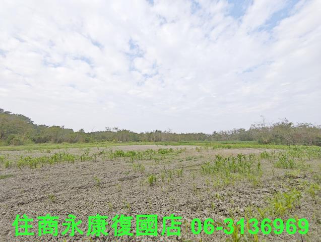 東山農地_建地_林地-8