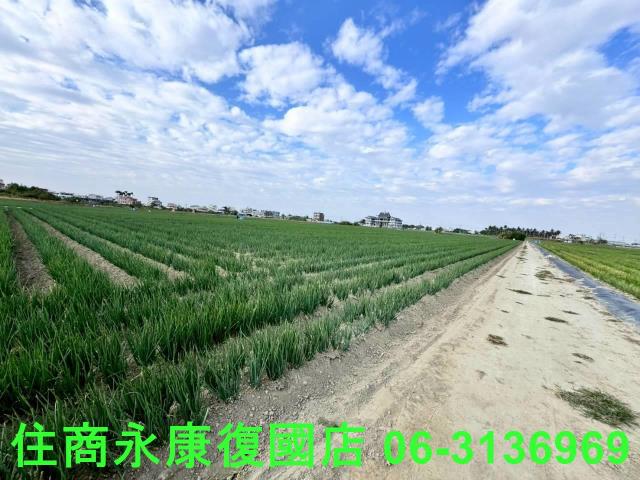 安南農地-3