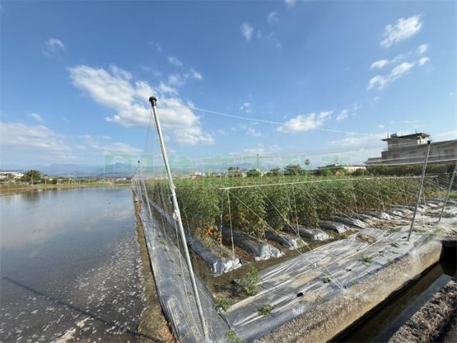 高雄農地-7