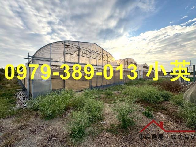 高雄路竹農地-2