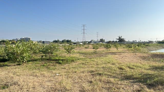 高雄湖內農地-13