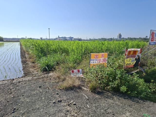高雄橋頭農地-9