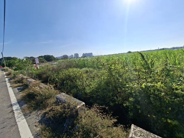 高雄橋頭農地-2