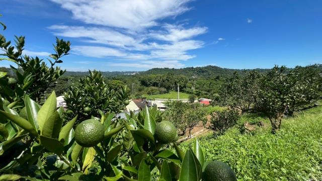 新竹峨眉農地-7