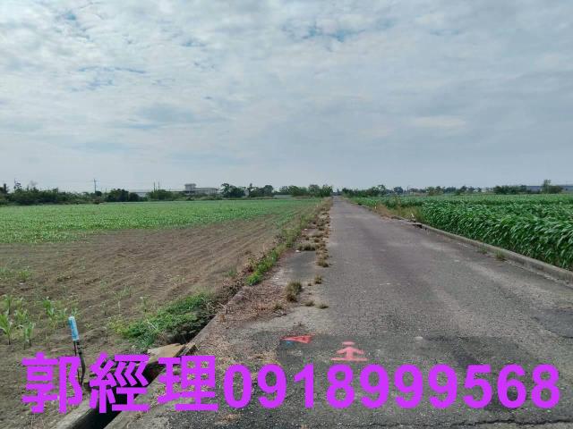 台南農地-10