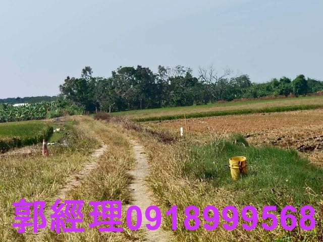 台南農地-11