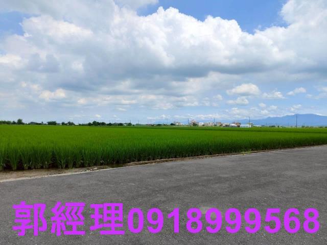 台南農地-6
