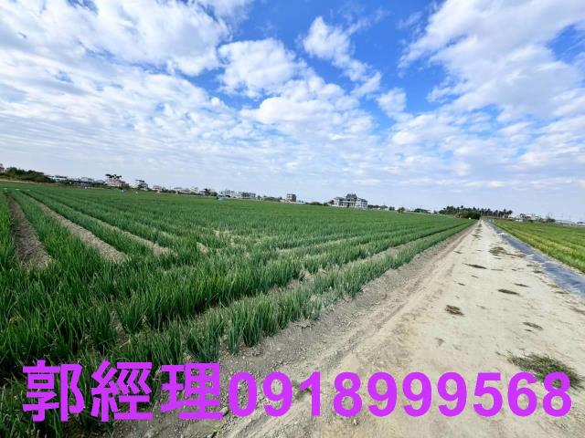 台南農地-2